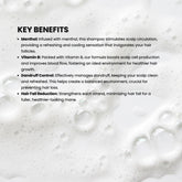 no more hairfall  anti dandruff shampoo key benefits